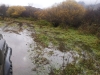 img-20191125-wa0036