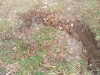 img-20181202-wa0020