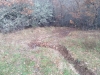 img-20181202-wa0021
