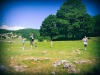 img-20190616-wa0012