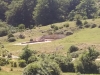 img-20190617-wa0006
