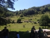 img-20190617-wa0007