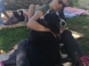 img-20190617-wa0018