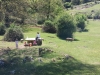 img-20170515-wa0018