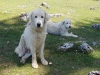 img-20170515-wa0030_0