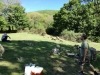 img-20170515-wa0041