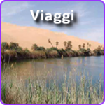 thumb-viaggi